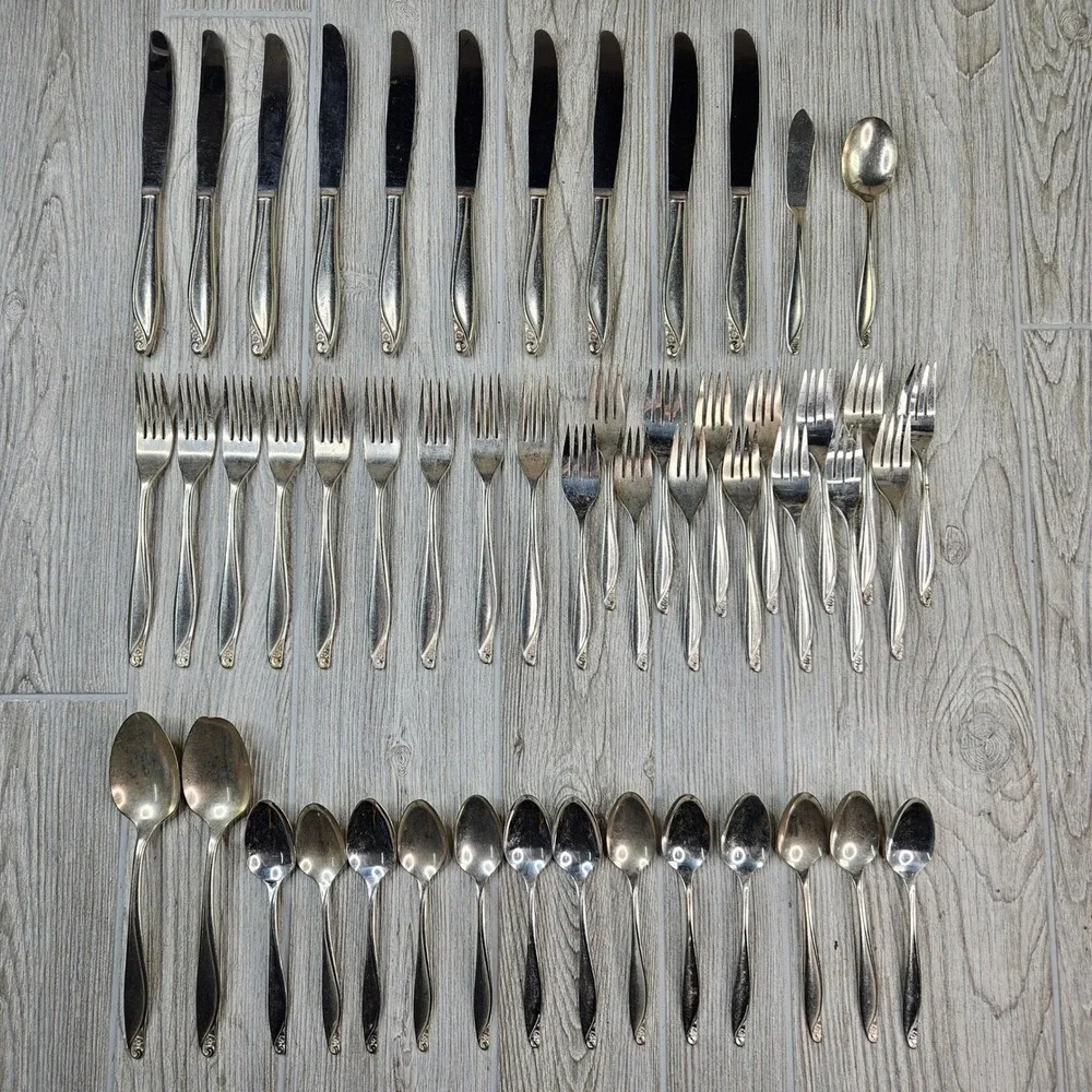 Wm. A. Rogers Oneida Flowertime Silver Overlaid Flatware Set 50 Pieces Vintage